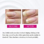 K34T6MLG7XF6QBONXTGISEIT