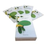 TQ6MC7W2VPSNBEUACRJSRKFW